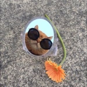 Meet your Posher, Megan